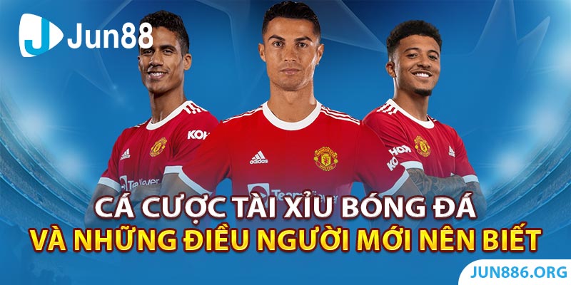 Cá Cược Tài Xỉu Bóng Đá Và Những Điều Người Mới Nên Biết